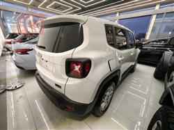 جيب رينيجيد